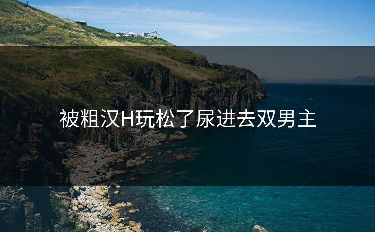 被粗汉H玩松了尿进去双男主