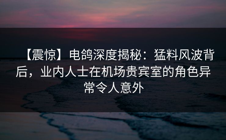 【震惊】电鸽深度揭秘：猛料风波背后，业内人士在机场贵宾室的角色异常令人意外